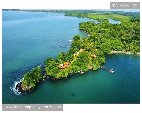 博卡攻防转换慢，屡遭反击，博卡系统